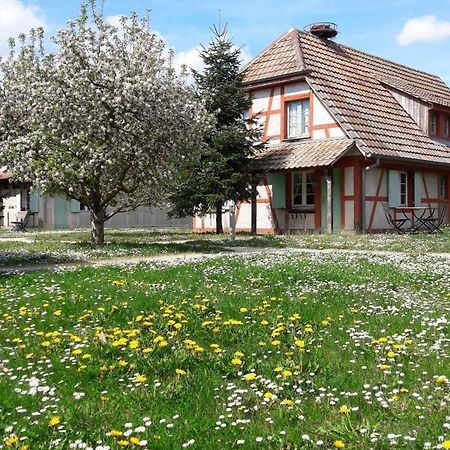 Les Loges De L'Ecomusee D'Alsace Юнгерсайм Экстерьер фото