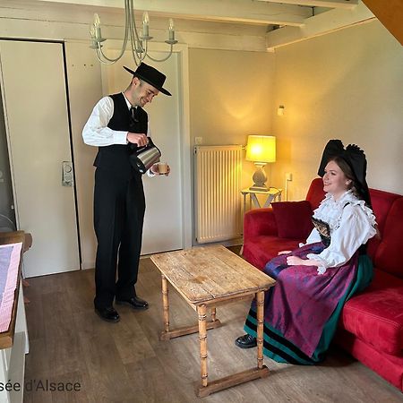Les Loges De L'Ecomusee D'Alsace Юнгерсайм Экстерьер фото