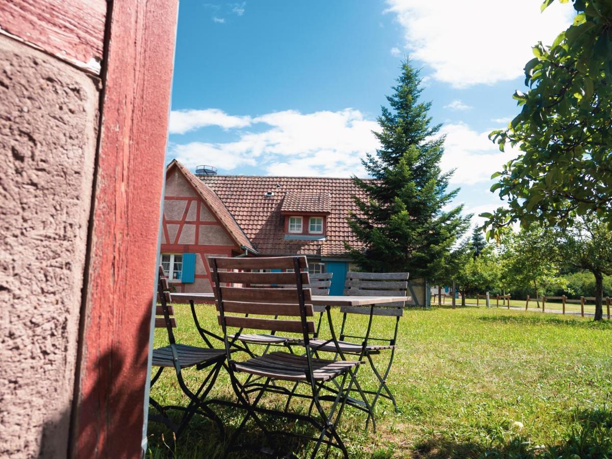 Les Loges De L'Ecomusee D'Alsace Юнгерсайм Экстерьер фото