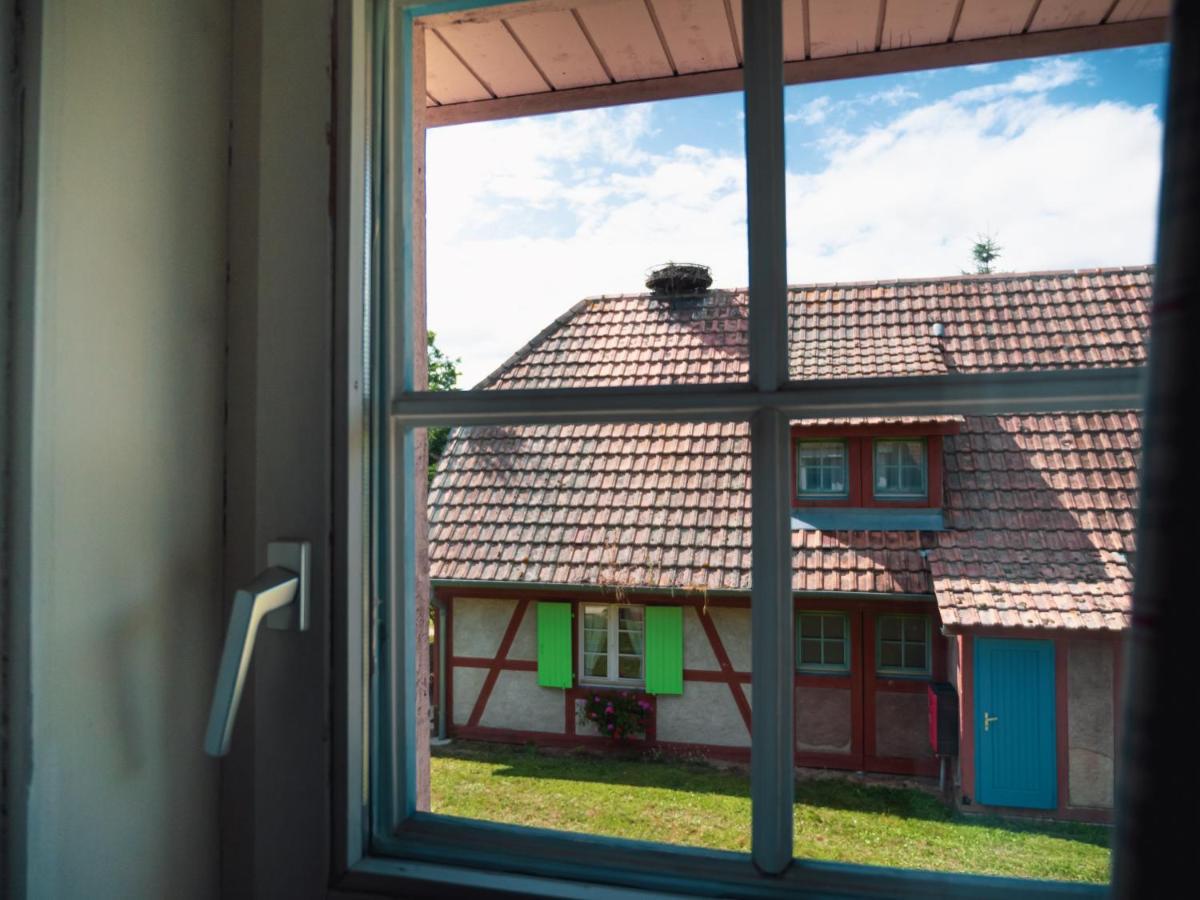 Les Loges De L'Ecomusee D'Alsace Юнгерсайм Экстерьер фото