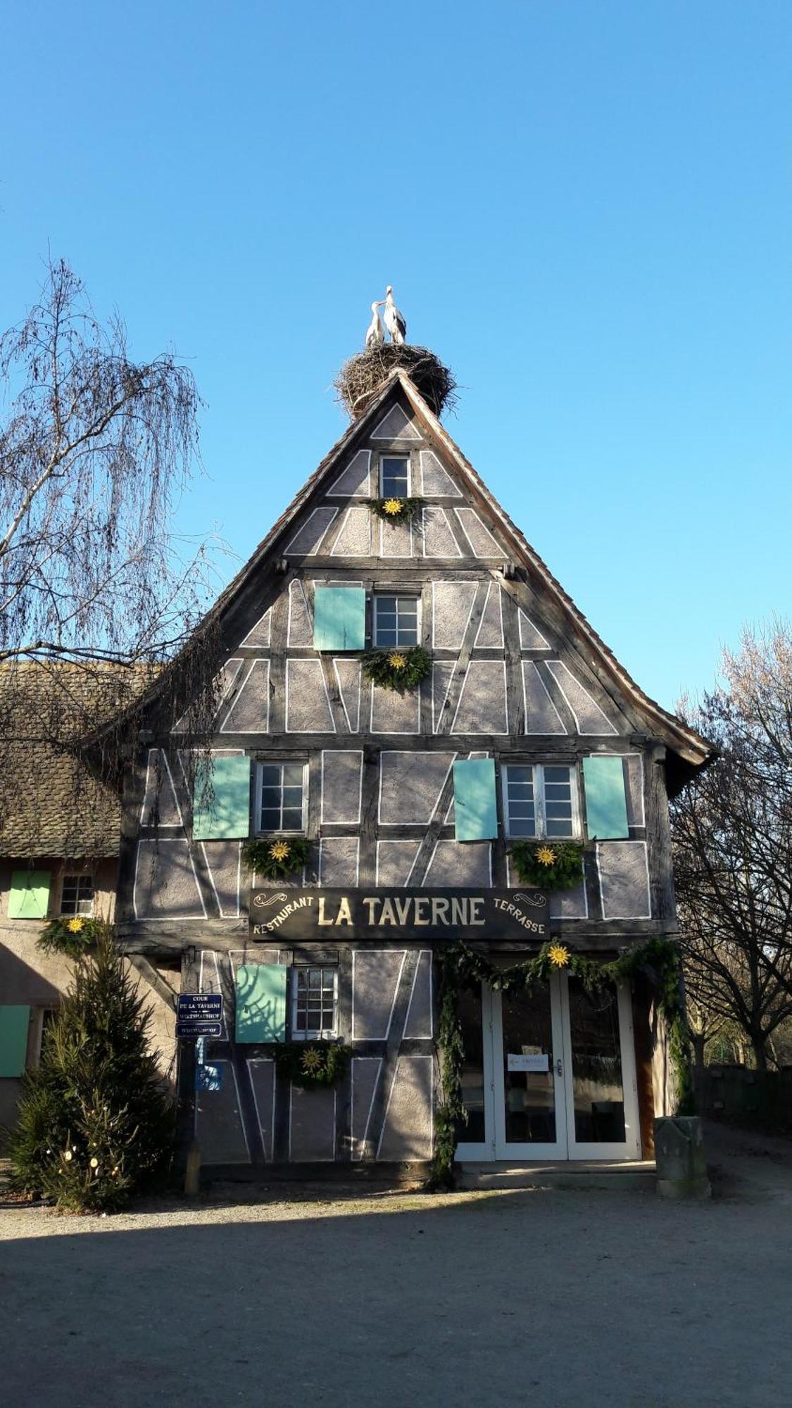 Les Loges De L'Ecomusee D'Alsace Юнгерсайм Экстерьер фото