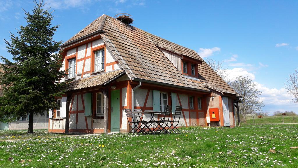 Les Loges De L'Ecomusee D'Alsace Юнгерсайм Экстерьер фото