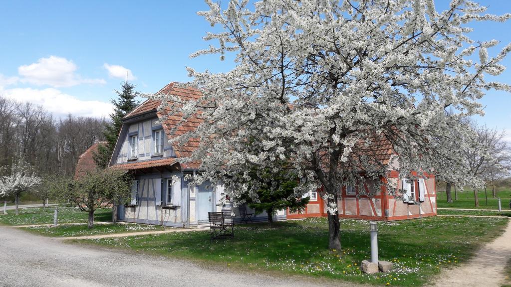 Les Loges De L'Ecomusee D'Alsace Юнгерсайм Экстерьер фото